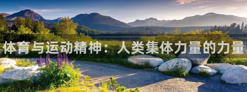MK体育官网下载招商：体育与运动精神：人类集体力量的