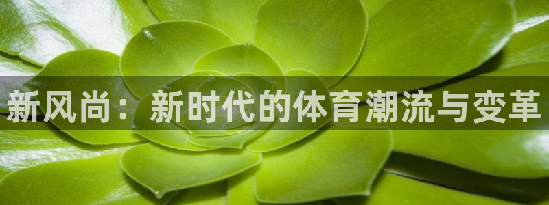 MK体育官网下载招商电话号码查询：新风尚：新时代的体
