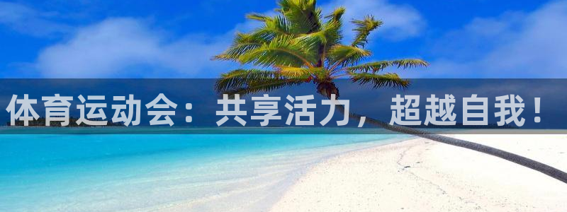 MK体育官网下载招商电话号码查询是多少：体育运动会：共享活力