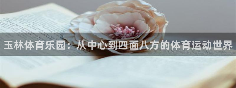 MK体育官网下载官方客服电话：玉林体育乐园：从中心到
