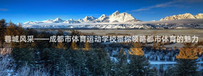 MK体育官网下载是干嘛的公司：蓉城风采——成都市体育