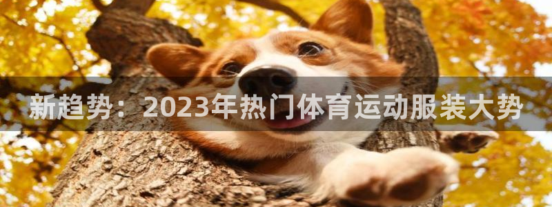 海南MK体育官网下载：新趋势：2023年热门体育运动