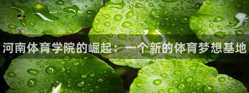 MK体育官方正版app代理：河南体育学院的崛起：一个