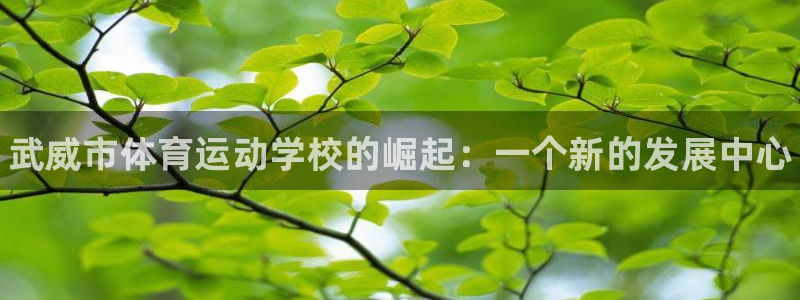 海南MK体育官网下载：武威市体育运动学校的崛起：一个