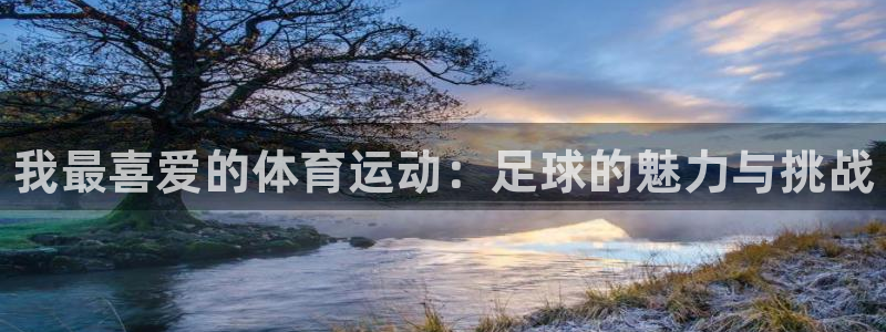MK体育官网下载平台注册要钱吗安全吗：我最喜爱的体育运动：足