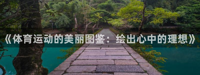 MK体育官网下载平台假的吗是真的吗：《体育运动的美丽图鉴：绘
