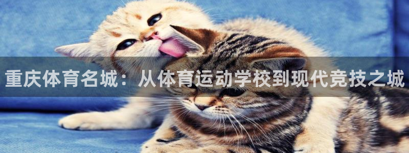 MK体育官网下载招商电话地址查询：重庆体育名城：从体育运动学