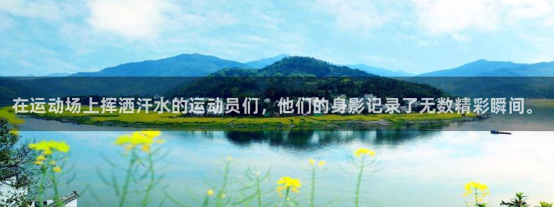 MK体育官方正版app新能源：在运动场上挥洒汗水的运动员们，