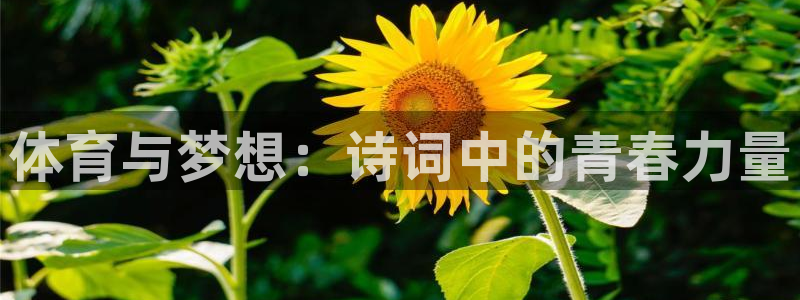 MK体育官方正版app集团logo