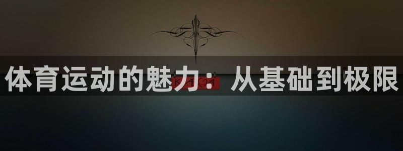 MK体育官方正版app科技