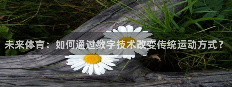 MK体育官网下载娱乐：未来体育：如何通过数字技术改变传统运动