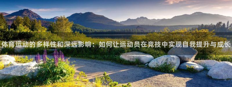 MK体育官网下载平台APP：体育运动的多样性和深远影响：如何