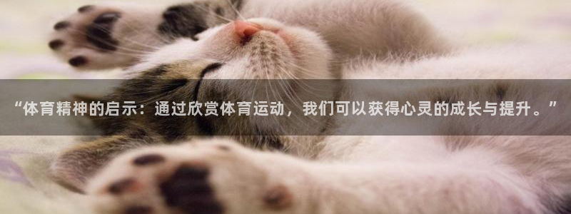 MK体育官网下载平台注册流程图：“体育精神的启示：通