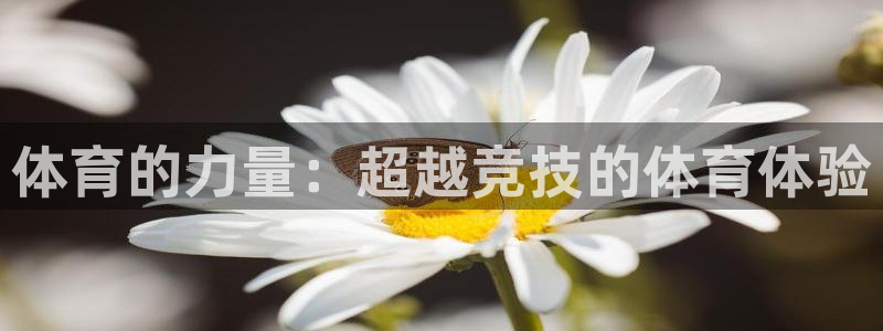 MK体育官网下载招商