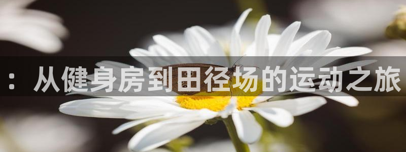 MK体育官网下载平台APP：：从健身房到田径场的运动