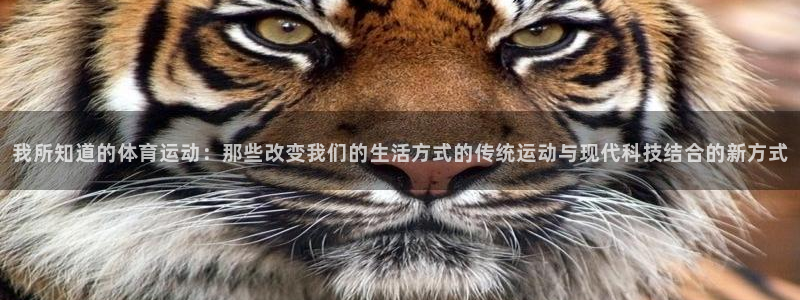 MK体育官方正版app集团官网网址：我所知道的体育运