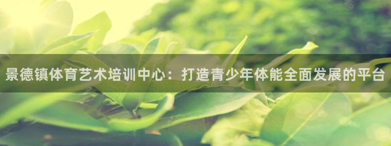 MK体育官方正版app官方：景德镇体育艺术培训中心：