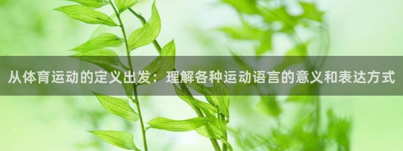 MK体育官网下载平台注册流程图：从体育运动的定义出发：理解各