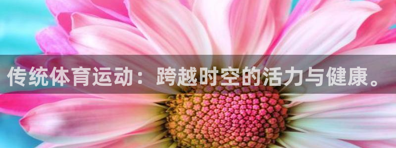 MK体育官网下载招商电话是多少号码
