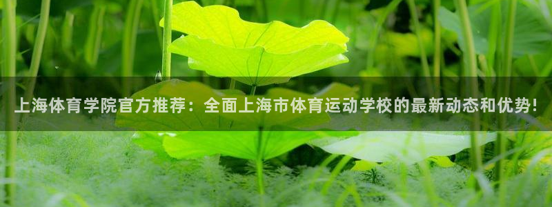 MK体育官网下载平台注册流程视频:上海体育学院官方推荐:全面