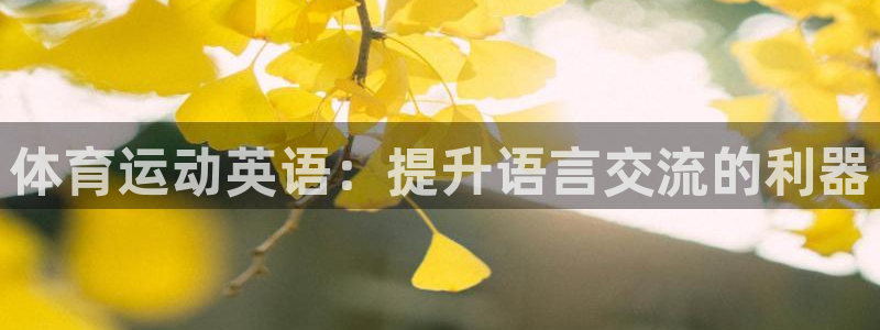 MK体育官网下载招商电话号码查询是多少：体育运动英语