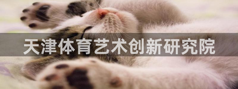 MK体育官网下载平台注册要钱吗：天津体育艺术创新研究院