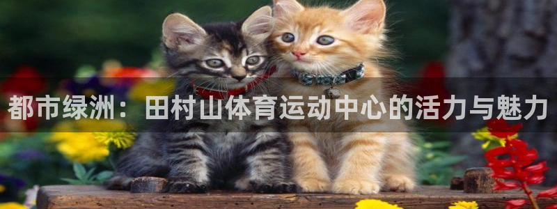 MK体育官网下载平台：都市绿洲：田村山体育运动中心的活力与魅