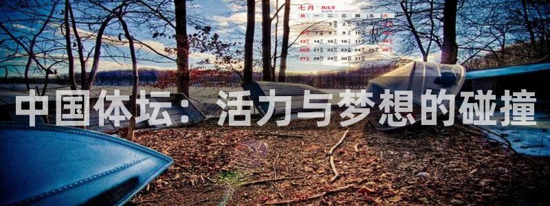 MK体育官网下载软件：中国体坛：活力与梦想的碰撞