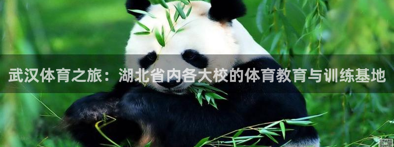 MK体育官网下载平台：武汉体育之旅：湖北省内各大校的
